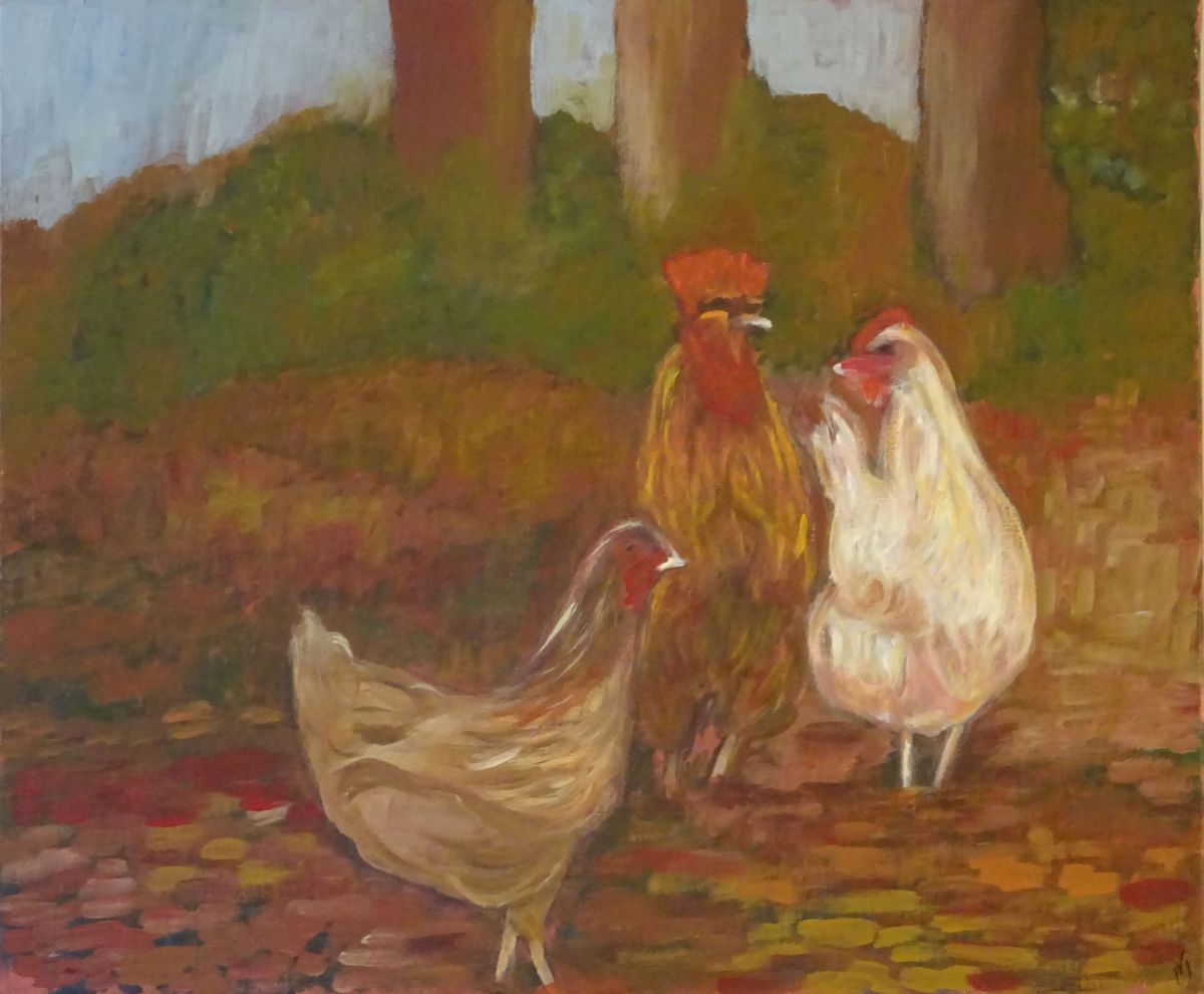 Poules