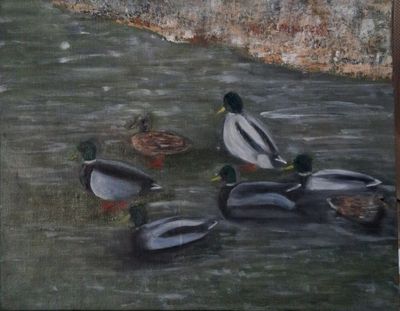 L'étang aux canards