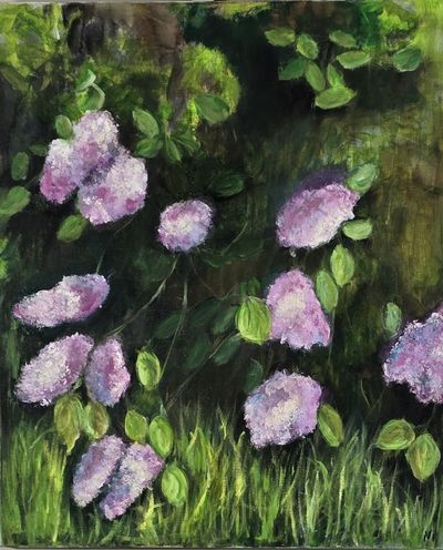 Lilas Mauve